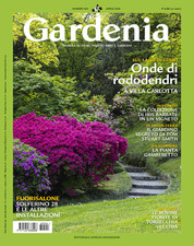 GARDENIA  Fiori Piante Orti e