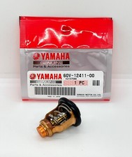 Termostato fuoribordo