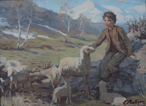 Bambina con pecore montagna - bambina, in