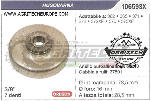 106593x oregon pignone campana - pignone,