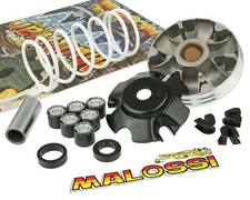 Variatore MALOSSI Multivar
