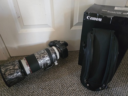 Obiettivo canon 100 500mm - canon, rf