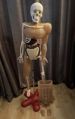 Come funziona tuo corpo - come,