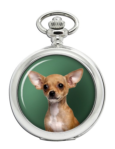 Cane chihuahua orologio - chihuahua, da