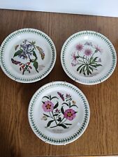 Piatti decorativi in ceramica Portmeirion Susan Williams Ellis 1972