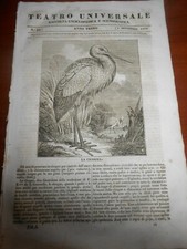 1834 LA CICOGNA MURAGLIA CINESE MONTAGNE GLOBO TERRA EFFEMERIDI CAVALLO ARABO