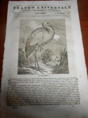 1834 cicogna muraglia - 1834, la