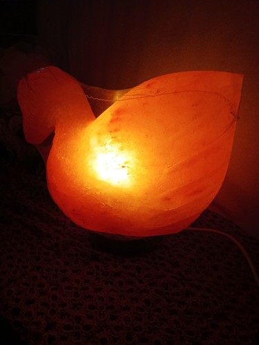 Lampada sale cigno dell - di, dell'