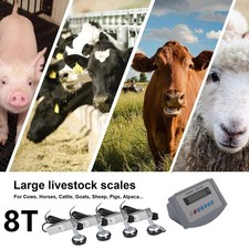 Kit Bilancia per Allevamento