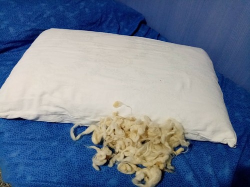 Cuscino pura lana vergine - cuscino,