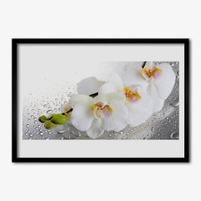 Arte da parete con cornice in