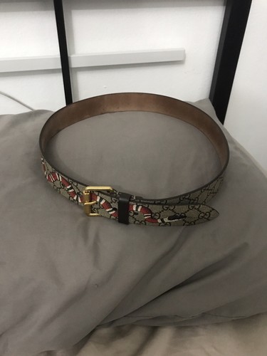 Gucci supreme belt kingsnake - belt,