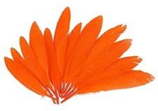 INNSPIRO Piume indiano