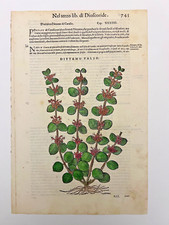 MATTIOLI Xilografia 1500