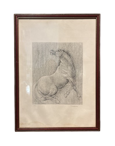 Litografia cavallo di - di,