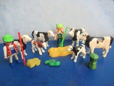 molte mucche vitelli contadino