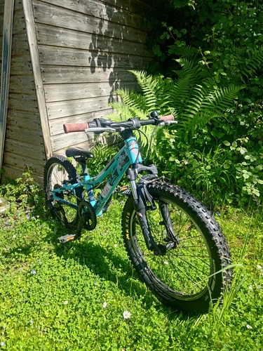 Mountain bike per bambini
