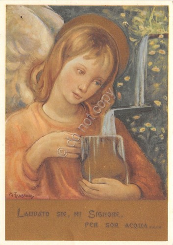 Cartolina postcard - -,