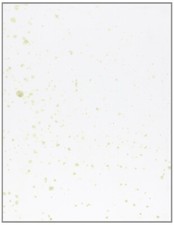 Pantani e Surace. - [Gli Ori]