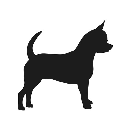 Adesivo chihuahua vinile - chihuahua,
