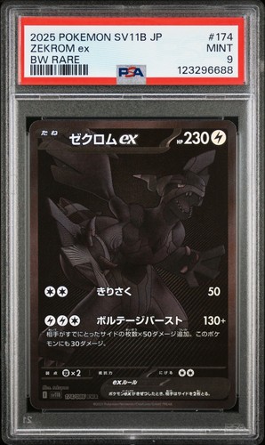 Zekrom 174 black - zekrom,