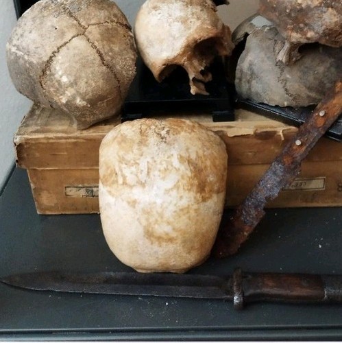Anatomia modello memento mori - modello,