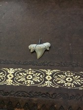 Ciondolo portafortuna vero dente di squalo accuratamente selezionato