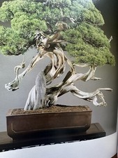 KAKURYUAN BONSAI COLLECTION KENICHI OGUCHI LIMITED Edition 1987 Japanese Box