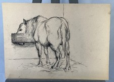 Disegno Antico Cavallo Per Abbeveratoio All'Interno Di Il Stile Rosa Fortuna