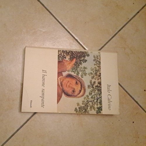 Italo calvino barone - italo, il