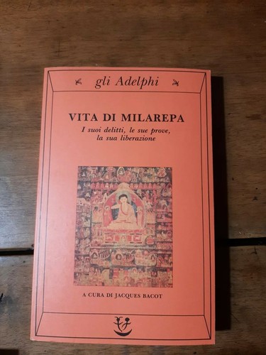 Vita milarepa cura - vita,