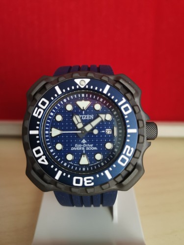 Citizen whale shark limited - citizen,