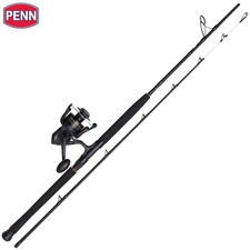 PENN canna da pesca in acqua