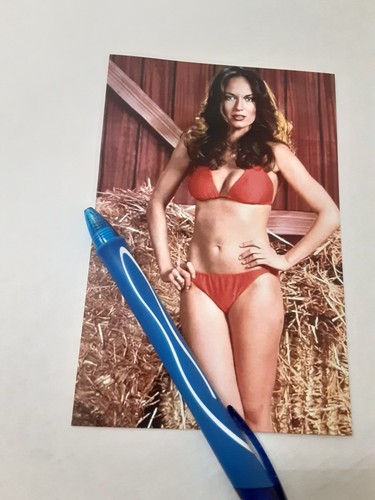 Duchi hazzard catherine - hazzard,,