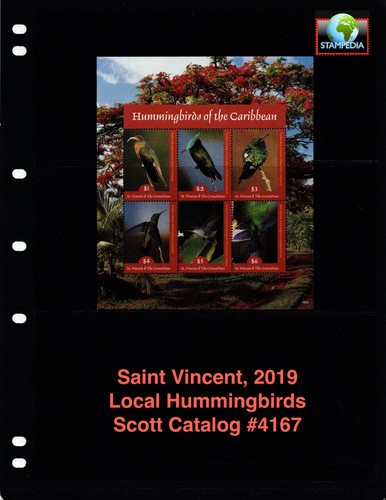 Scott value 2019 st - $15,50,