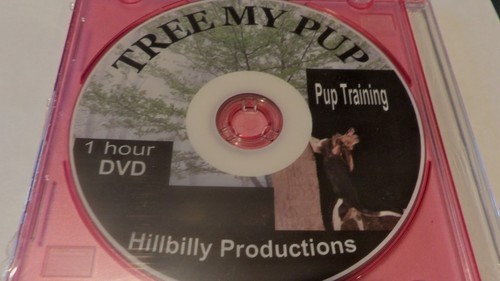 Tree pup raccoon coon - pup,