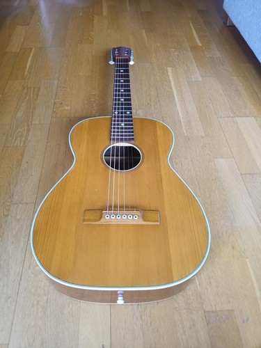 Chitarra herman carlson levin - herman,