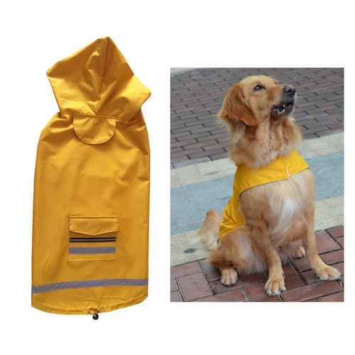 Medio grande cane vestiti - cane,