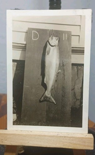 Lotto foto d epoca - di, d'epoca