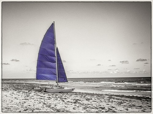 Canvas blue catamaran 24x18 - catamaran,