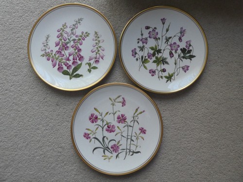 Spode wild flowers - spode,