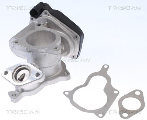 Valvola triscan agr 8813 29019 - 8813,