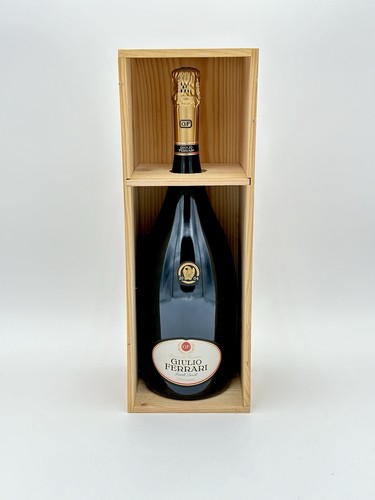 2004 magnum l - magnum,