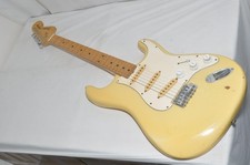 Chitarra elettrica Fresher