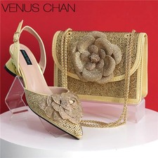 Elegant Lady Shoes And Bag Set