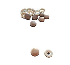 Borchia Copri Vite Copriviti Bombata in Ottone Bronzato mm. 16 Pz. 24 VITEL