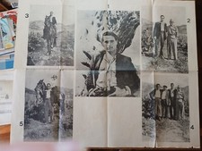 manifesto / poster SALVATORE