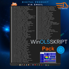 WINOLS Skript Custom Data