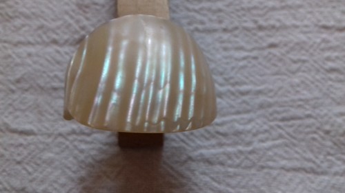 Anello madreperla nacre fatto - madreperla, nacre'fatto