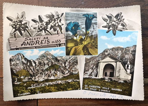 Anni andreis in - anni,